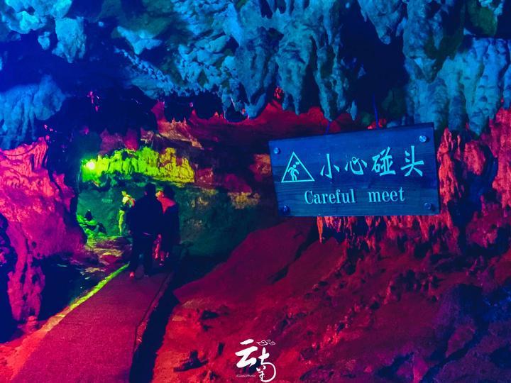 厉害了我的巧虎6