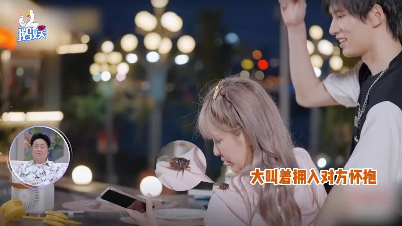 探索世界的奇妙之旅,尽在家里装了宽带,不装有线可以看电视吗?