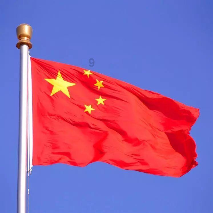 植物大战僵尸