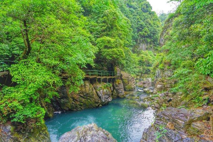 逃离绿色山谷
