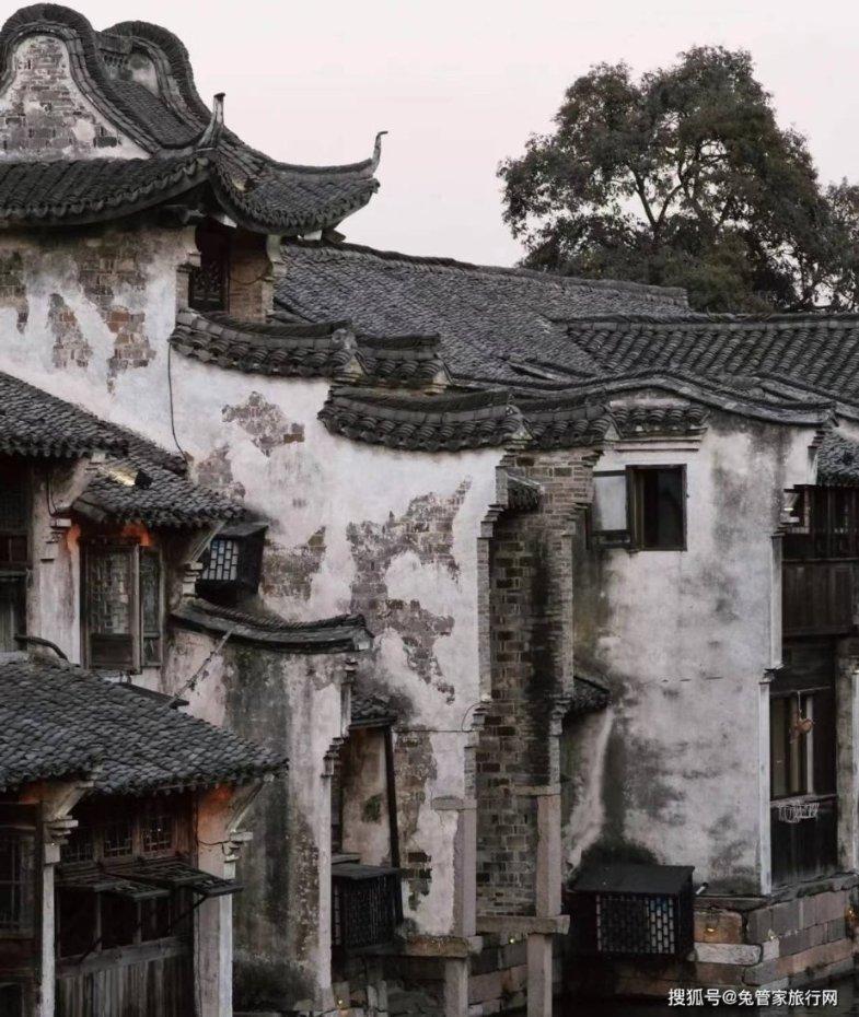 逗小猴开心系列209